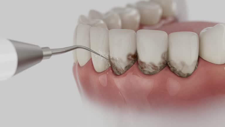 Reliable Dental contractor in National Park, NJ by Dentist Open Now